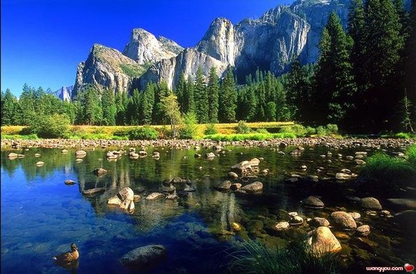 �j�۵M������
Miracle of Nature 