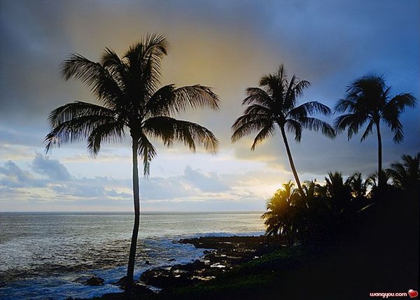 �j�۵M������
Miracle of Nature 