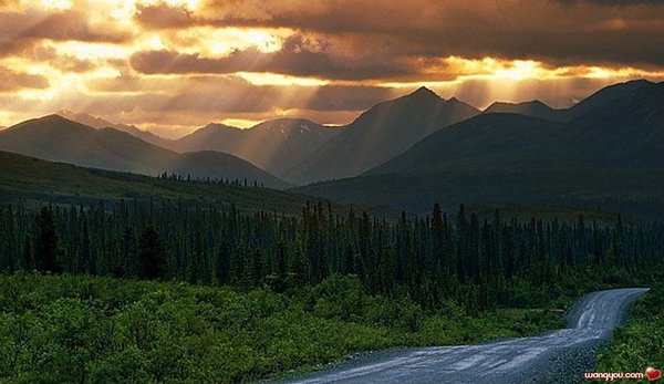 �j�۵M������
Miracle of Nature 
