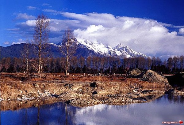 �j�۵M������
Miracle of Nature 