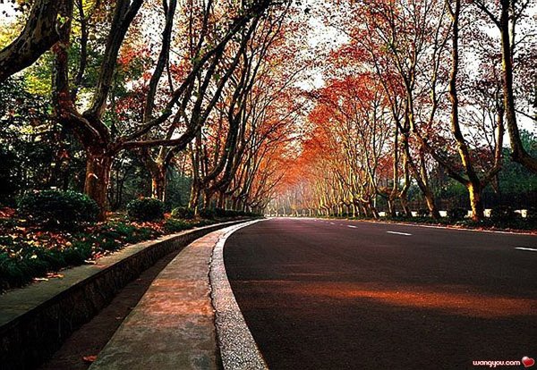 �j�۵M������
Miracle of Nature 