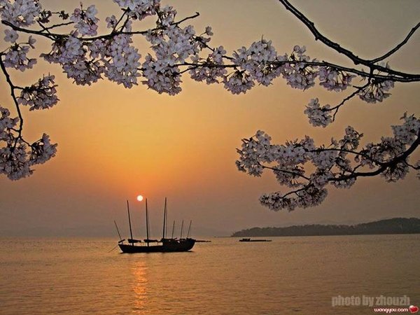 �j�۵M������
Miracle of Nature 
