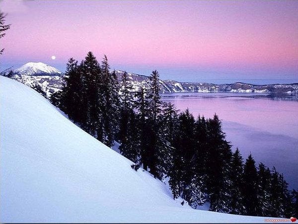 �j�۵M������
Miracle of Nature 