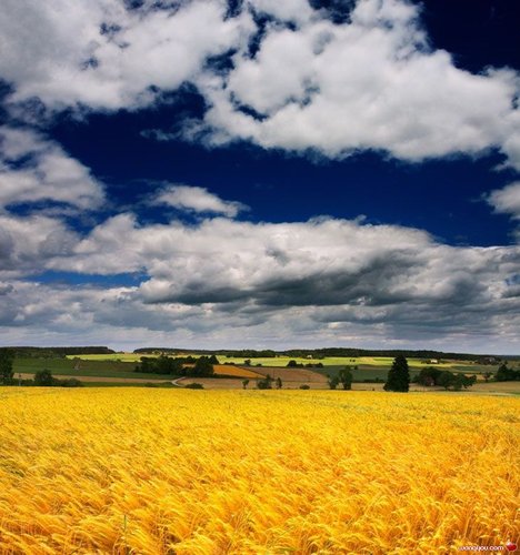 �j�۵M������
Miracle of Nature 