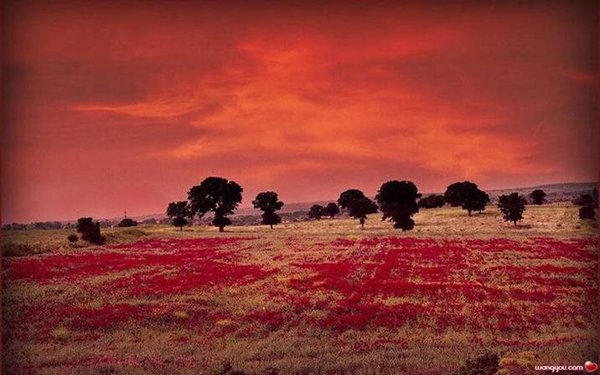 �j�۵M������
Miracle of Nature 