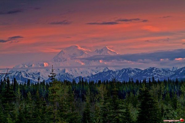 �j�۵M������
Miracle of Nature 