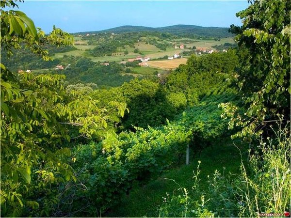 �j�۵M������
Miracle of Nature 