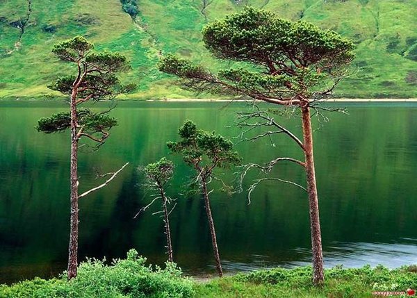 �j�۵M������
Miracle of Nature 