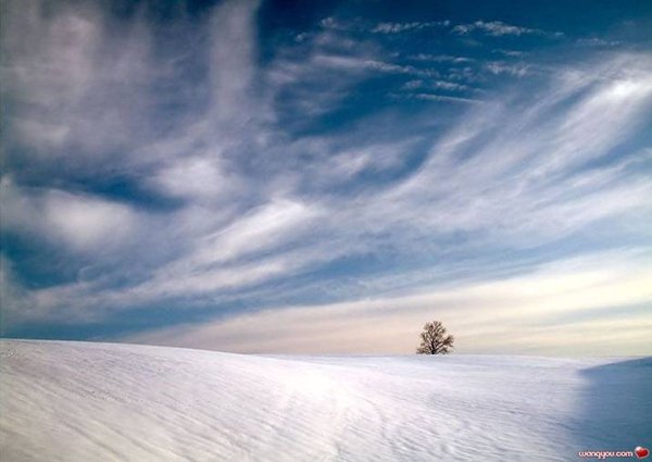 �j�۵M������
Miracle of Nature 