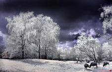 �����@�U�A�i��j�Ϥ�
Click to enlarge 