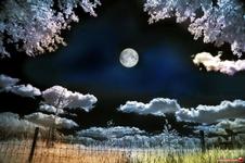 �����@�U�A�i��j�Ϥ�
Click to enlarge 