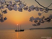 �����@�U�A�i��j�Ϥ�
Click to enlarge 