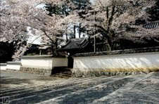 Scenery of Tokyo 
�饻�ʳ��������� 