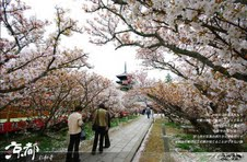 Scenery of Tokyo 
�饻�ʳ��������� 