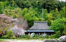 Scenery of Tokyo 
�饻�ʳ��������� 