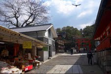 Scenery of Tokyo 
�饻�ʳ���������