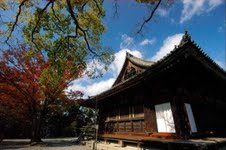 Scenery of Tokyo 
�饻�ʳ���������  