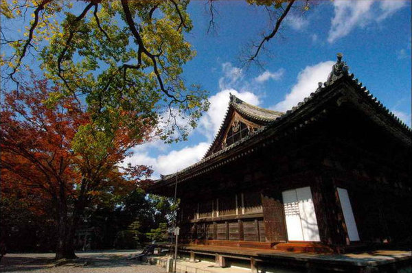 Scenery of Tokyo 
�饻�ʳ���������   