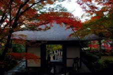 Scenery of Tokyo 
�饻�ʳ���������  