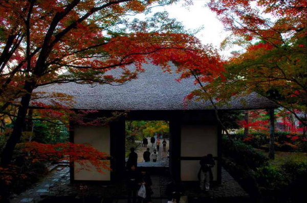 Scenery of Tokyo 
�饻�ʳ���������   