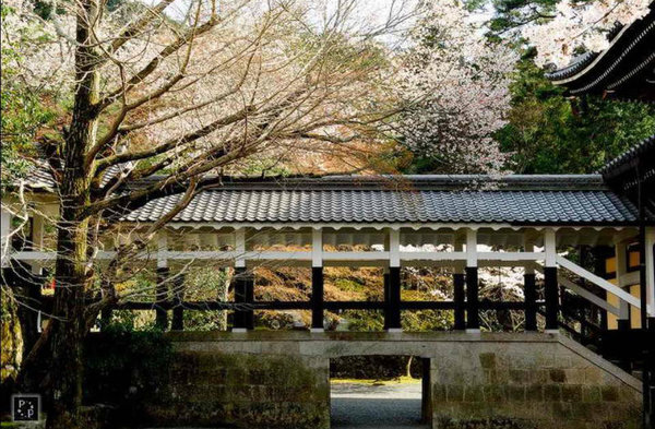 Scenery of Tokyo 
�饻�ʳ���������   