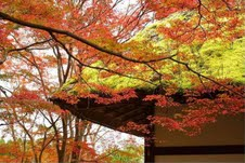 Scenery of Tokyo 
�饻�ʳ��������� 