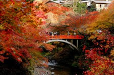 Scenery of Tokyo 
�饻�ʳ���������
 