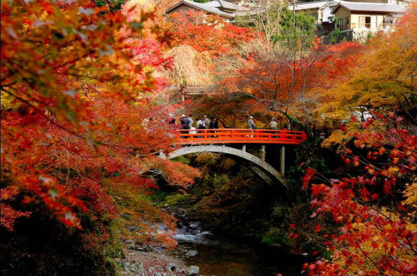 Scenery of Tokyo 
�饻�ʳ���������   