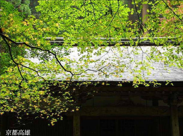 Scenery of Tokyo 
�饻�ʳ���������   