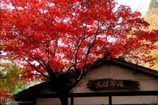 Scenery of Tokyo 
�饻�ʳ��������� 