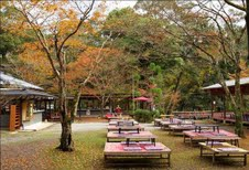 Scenery of Tokyo 
�饻�ʳ���������