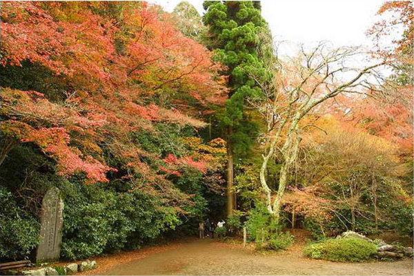 Scenery of Tokyo 
�饻�ʳ���������   