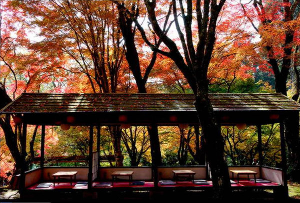 Scenery of Tokyo 
�饻�ʳ���������   