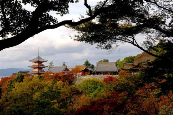 Scenery of Tokyo 
�饻�ʳ���������   