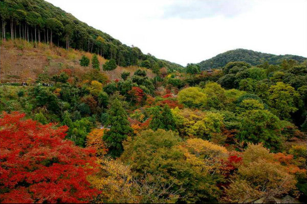 Scenery of Tokyo 
�饻�ʳ���������   