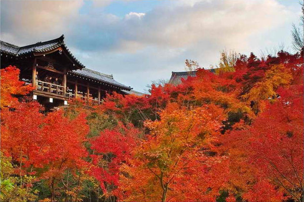 Scenery of Tokyo 
�饻�ʳ���������   