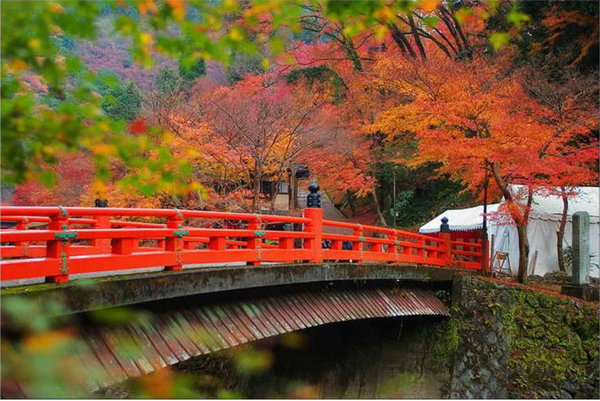 Scenery of Tokyo 
�饻�ʳ���������   