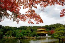 Scenery of Tokyo 
�饻�ʳ���������  