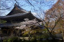 Scenery of Tokyo 
�饻�ʳ��������� 
