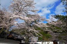 Scenery of Tokyo 
�饻�ʳ��������� 