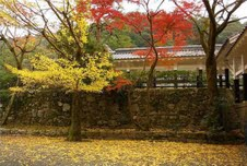 Scenery of Tokyo 
�饻�ʳ���������
 