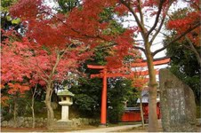 Scenery of Tokyo 
�饻�ʳ���������