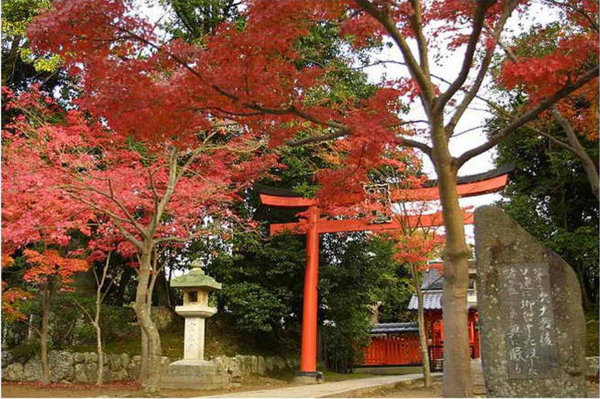 Scenery of Tokyo 
�饻�ʳ���������   