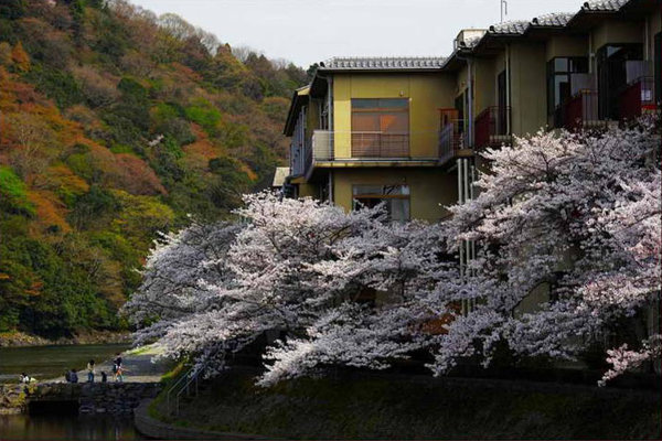 Scenery of Tokyo 
�饻�ʳ���������   