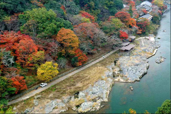 Scenery of Tokyo 
�饻�ʳ���������   