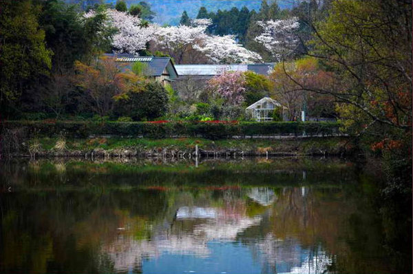 Scenery of Tokyo 
�饻�ʳ���������   