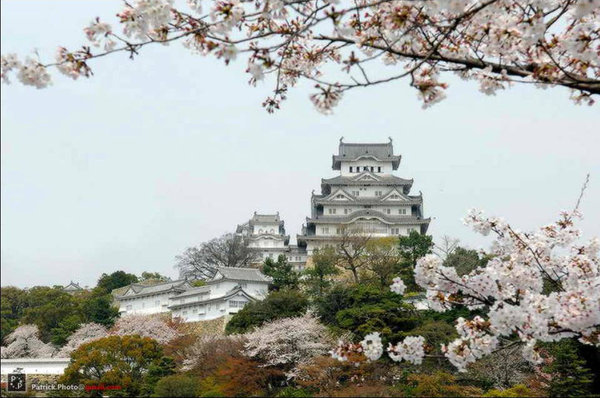 Scenery of Tokyo 
�饻�ʳ���������   