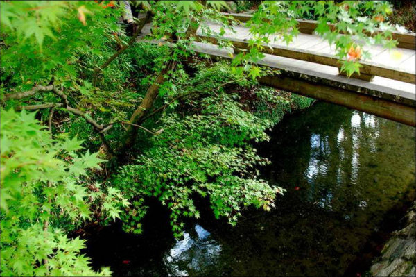 Scenery of Tokyo 
�饻�ʳ���������   