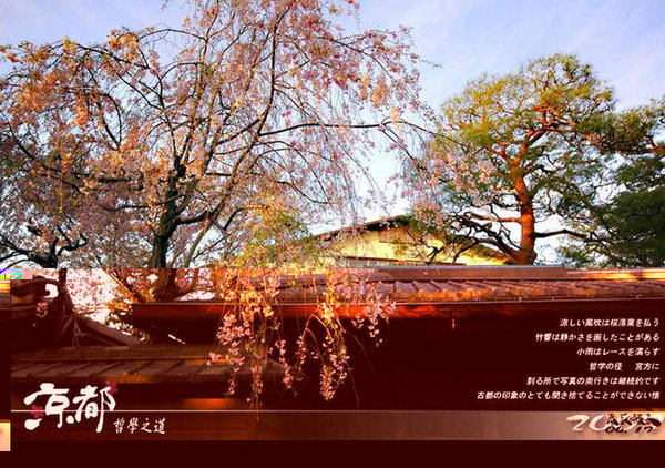 Scenery of Tokyo 
�饻�ʳ���������   