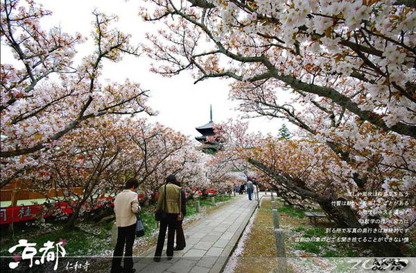 Scenery of Tokyo 
�饻�ʳ���������   